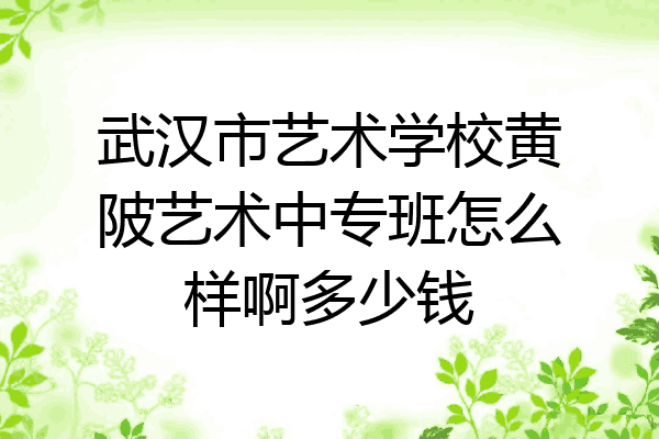 武汉市艺术学校黄陂艺术中专班怎么样啊多少钱