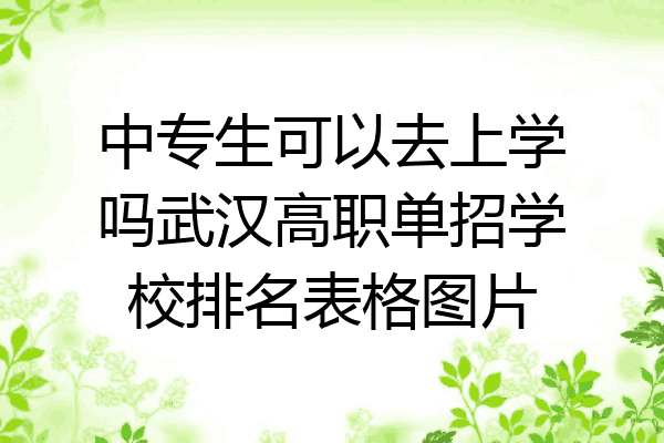中专生可以去上学吗武汉高职单招学校排名表格图片