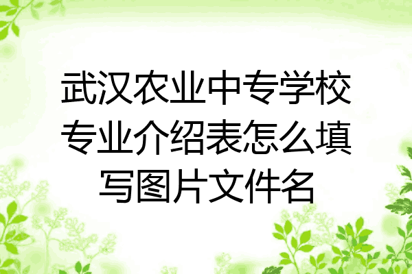 武汉农业中专学校专业介绍表怎么填写图片文件名