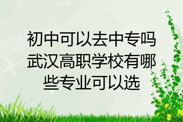 初中可以去中专吗武汉高职学校有哪些专业可以选