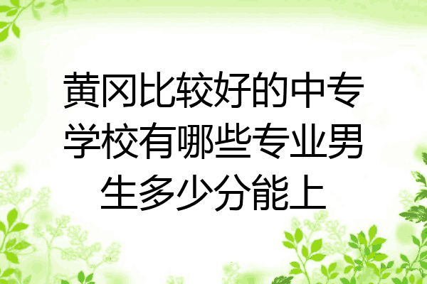 黄冈比较好的中专学校有哪些专业男生多少分能上