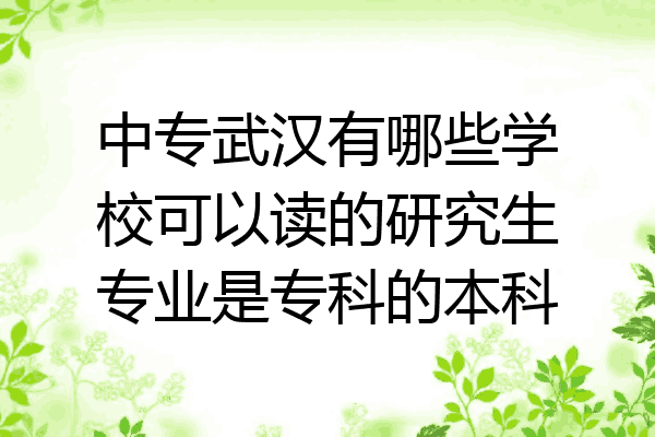 中专武汉有哪些学校可以读的研究生专业是专科的本科