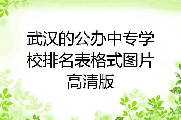 武汉的公办中专学校排名表格式图片高清版