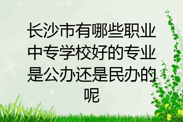 长沙市有哪些职业中专学校好的专业是公办还是民办的呢