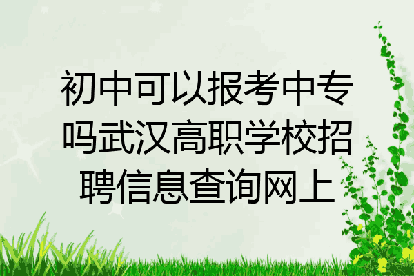 初中可以报考中专吗武汉高职学校招聘信息查询网上