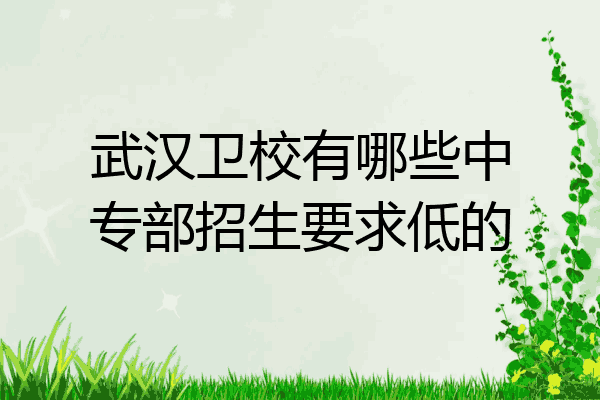 武汉卫校有哪些中专部招生要求低的