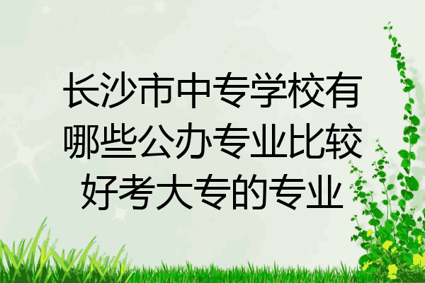 长沙市中专学校有哪些公办专业比较好考大专的专业