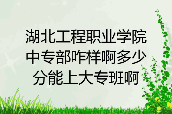 湖北工程职业学院中专部咋样啊多少分能上大专班啊