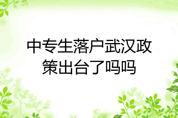 中专生落户武汉政策出台了吗吗