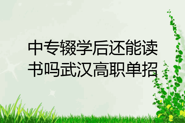 中专辍学后还能读书吗武汉高职单招