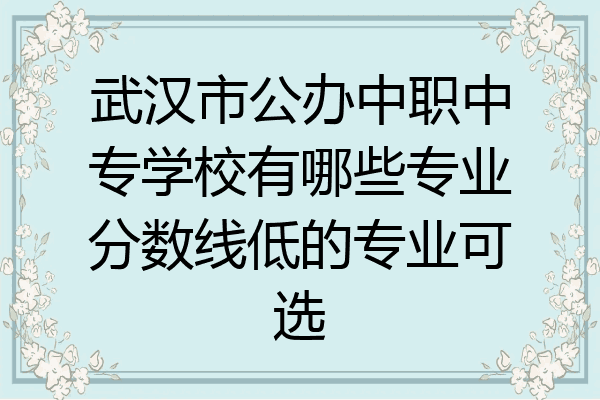 武汉市公办中职中专学校有哪些专业分数线低的专业可选
