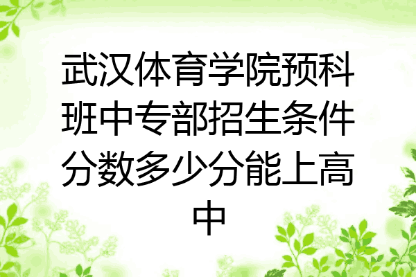 武汉体育学院预科班中专部招生条件分数多少分能上高中