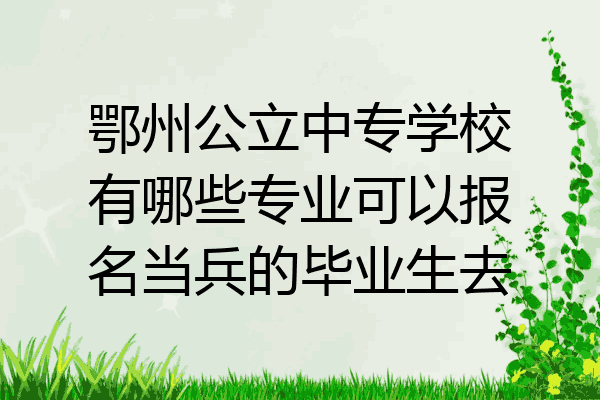 鄂州公立中专学校有哪些专业可以报名当兵的毕业生去