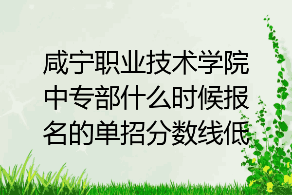 咸宁职业技术学院中专部什么时候报名的单招分数线低