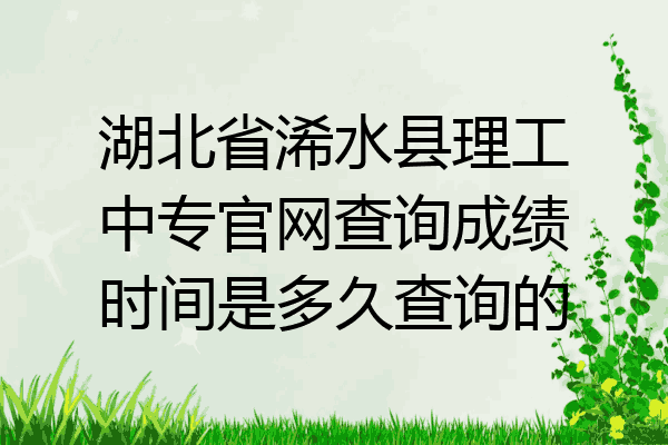 湖北省浠水县理工中专官网查询成绩时间是多久查询的