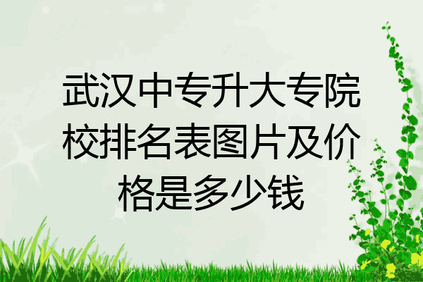 武汉中专升大专院校排名表图片及价格是多少钱