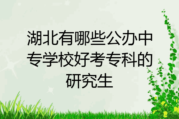 湖北有哪些公办中专学校好考专科的研究生