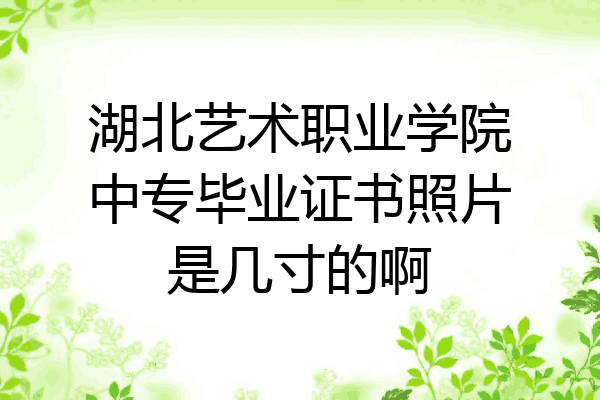 湖北艺术职业学院中专毕业证书照片是几寸的啊