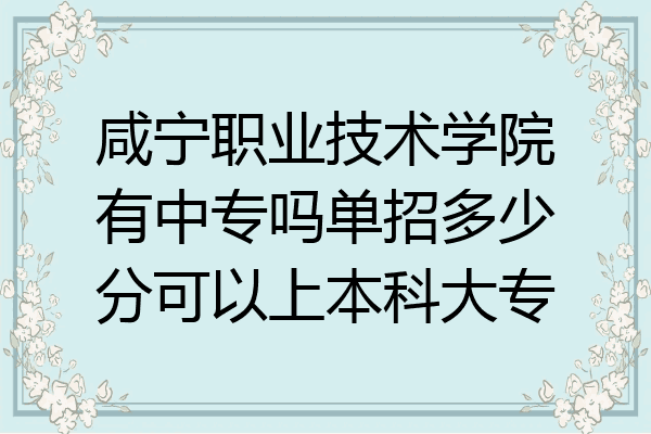 咸宁职业技术学院有中专吗单招多少分可以上本科大专