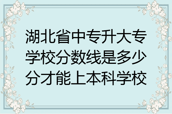 湖北省中专升大专学校分数线是多少分才能上本科学校