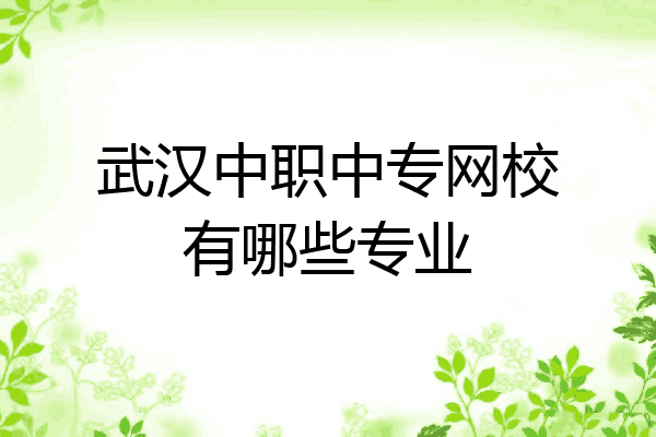 武汉中职中专网校有哪些专业