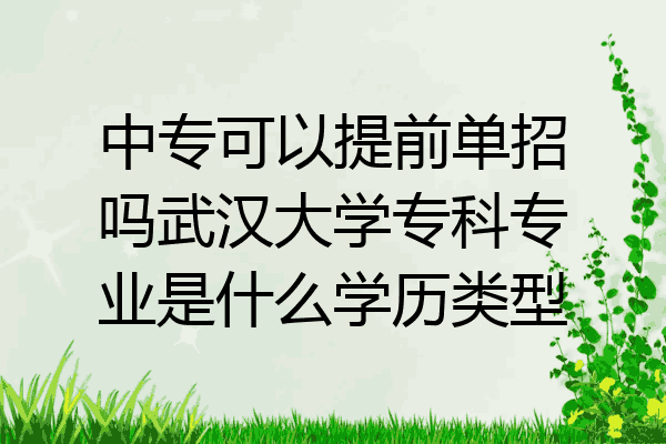 中专可以提前单招吗武汉大学专科专业是什么学历类型