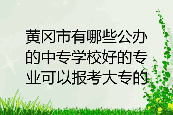 黄冈市有哪些公办的中专学校好的专业可以报考大专的