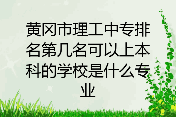 黄冈市理工中专排名第几名可以上本科的学校是什么专业