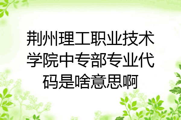 荆州理工职业技术学院中专部专业代码是啥意思啊
