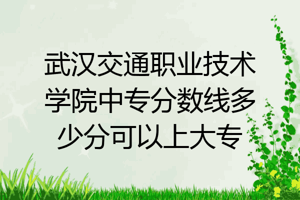 武汉交通职业技术学院中专分数线多少分可以上大专