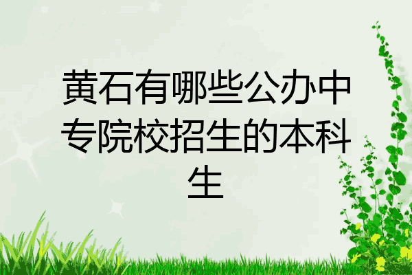 黄石有哪些公办中专院校招生的本科生