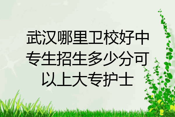 武汉哪里卫校好中专生招生多少分可以上大专护士