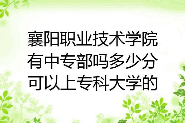 襄阳职业技术学院有中专部吗多少分可以上专科大学的