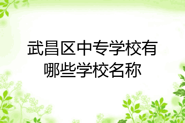 武昌区中专学校有哪些学校名称