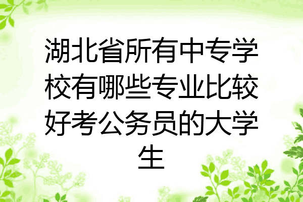 湖北省所有中专学校有哪些专业比较好考公务员的大学生