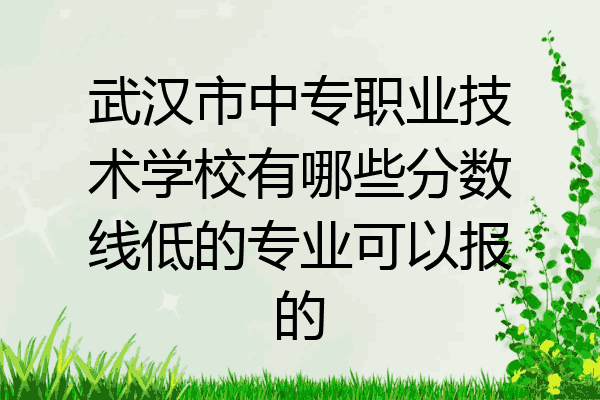 武汉市中专职业技术学校有哪些分数线低的专业可以报的