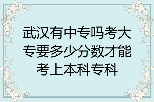 武汉有中专吗考大专要多少分数才能考上本科专科