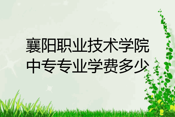 襄阳职业技术学院中专专业学费多少