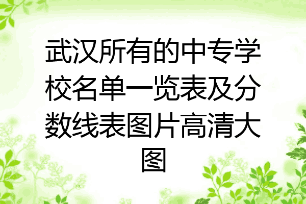 武汉所有的中专学校名单一览表及分数线表图片高清大图