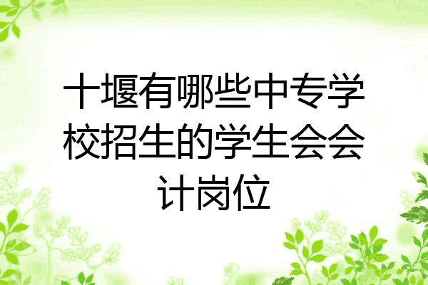 十堰有哪些中专学校招生的学生会会计岗位