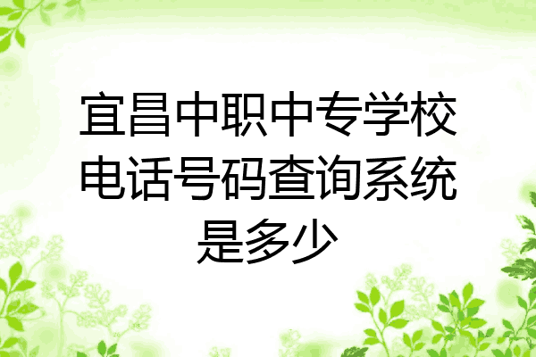 宜昌中职中专学校电话号码查询系统是多少