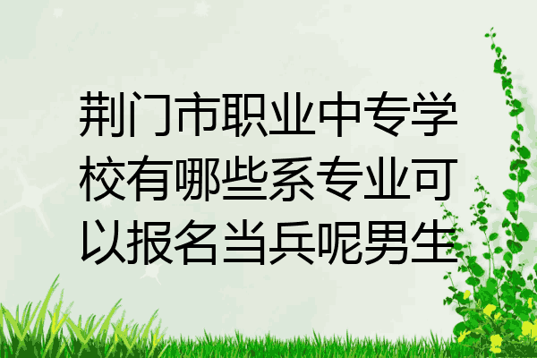 荆门市职业中专学校有哪些系专业可以报名当兵呢男生