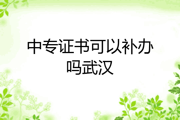 中专证书可以补办吗武汉