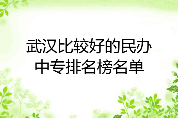 武汉比较好的民办中专排名榜名单