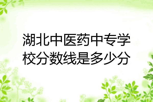 湖北中医药中专学校分数线是多少分
