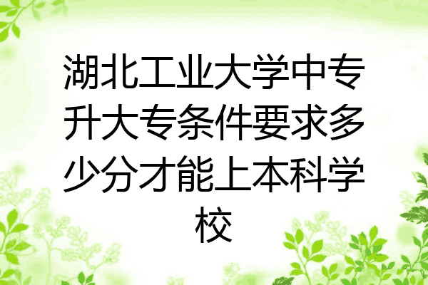 湖北工业大学中专升大专条件要求多少分才能上本科学校