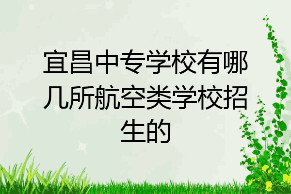 宜昌中专学校有哪几所航空类学校招生的