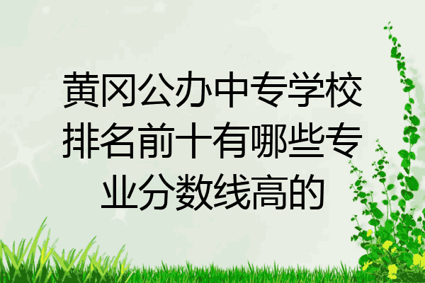 黄冈公办中专学校排名前十有哪些专业分数线高的