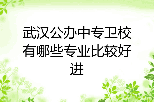 武汉公办中专卫校有哪些专业比较好进