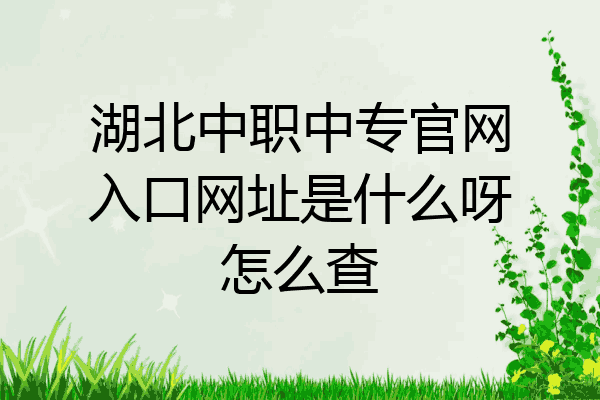 湖北中职中专官网入口网址是什么呀怎么查